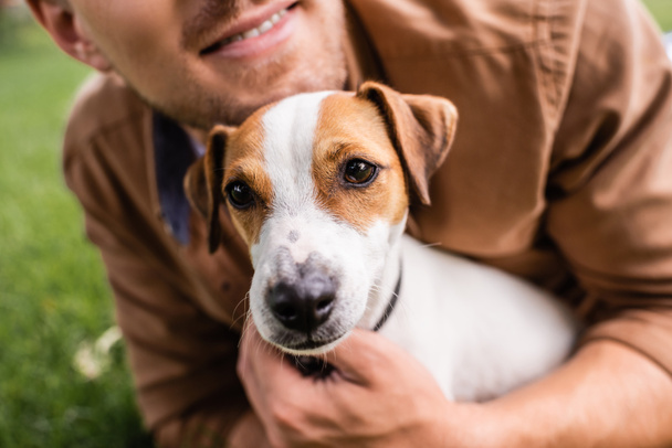 przycięty widok człowieka przytulanie Jack Russell terrier pies leżąc na zielonej trawie - Zdjęcie, obraz