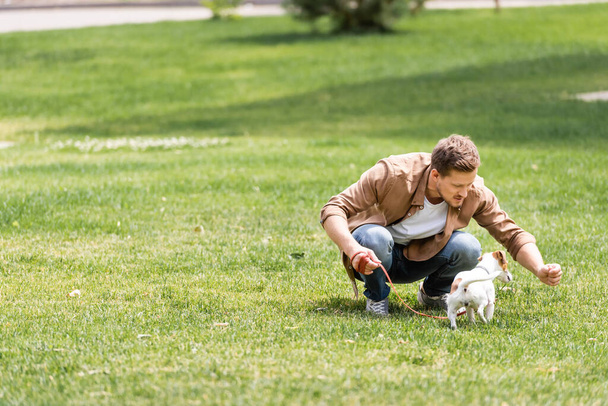 Selective focus of young man playing with jack russell terrier in park - Valokuva, kuva
