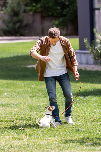 Selective focus of man in jeans playing with jack russell terrier on lawn  - Foto, imagen