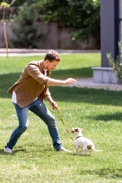 Selective focus of man in jeans playing with jack russell terrier on leash in park  - Fotoğraf, Görsel