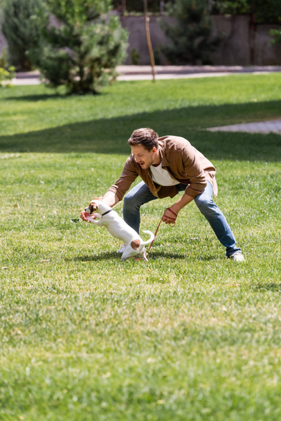 Selective focus of excited man holding leash while playing with jack russell terrier in park  - Foto, Imagen