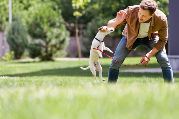 Concentration sélective du jeune homme nourrissant Jack Russell terrier sur la pelouse dans le parc  - Photo, image