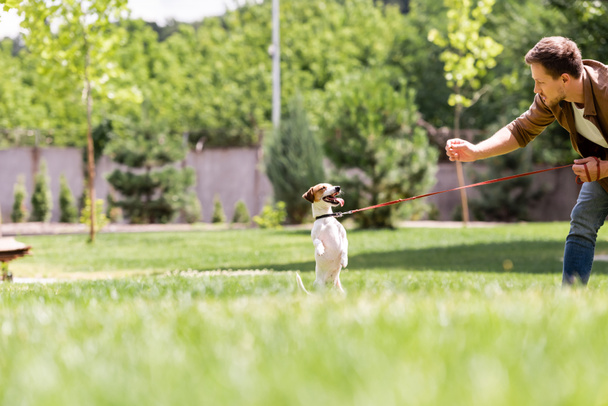 Επιλεκτική εστίαση του ανθρώπου και Jack Russell τεριέ παίζει στο πάρκο  - Φωτογραφία, εικόνα