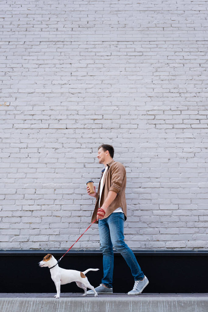 Low angle view of man with coffee to go walking jack russell terrier on leash near building - Фото, изображение