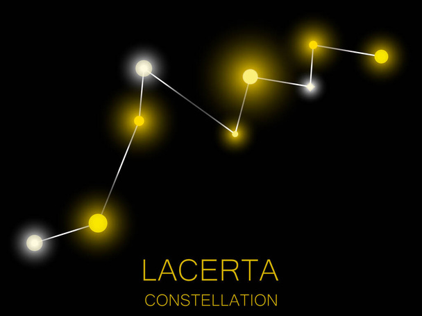 Lacerta takımyıldızı. Gece gökyüzünde parlak sarı yıldızlar. Derin uzayda, evrende bir yıldız kümesi. Vektör illüstrasyonu - Vektör, Görsel