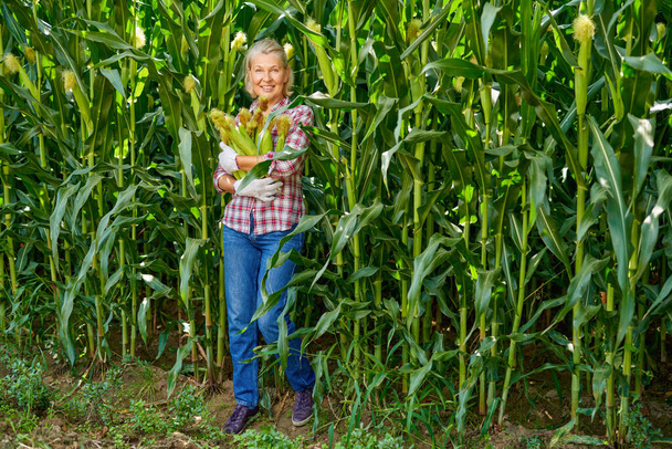 Woman farmer with a crop of corn - Фото, зображення