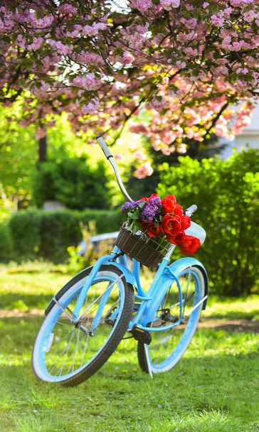 Retro style vintage beach cruiser bicycle with basket. Turquoise bicycle park sakura tree pink flowers. Spring leisure. Summer vacation. Hobby and sport. Bike cruiser with tulips. Romantic bicycle - Photo, image