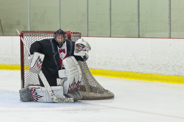 Hockey goalie ready for the puck - Photo, Image