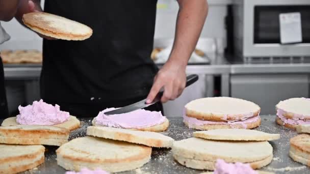 De banketbakker doet slagroom op de taart. Baker smoothing cake met slagroom glazuur op zoetwaren. - Video
