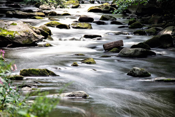Долина Боде в горах Гарц, Германия, была сфотографирована штативом с использованием серого фильтра, чтобы дать воде замороженный эффект. - Фото, изображение