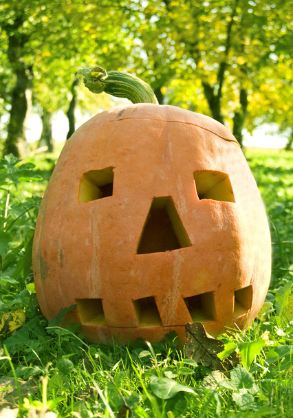 Abóbora de Halloween - Foto, Imagem