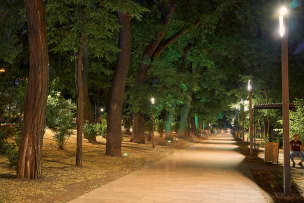 vue de nuit du parc grec à Odessa, Ukraine, près des escaliers Potemkin et du boulevard Primorskiy - Photo, image