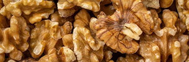 shelled English walnuts background - superfood concept, panoramic web banner - Photo, Image