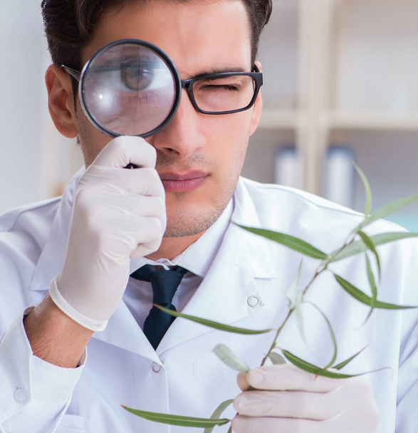 Biotechnology scientist chemist working in lab - Foto, afbeelding