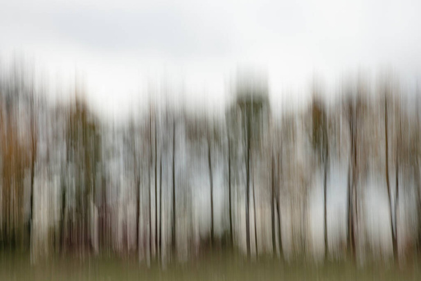 Mouvement feuillage flou et arbres en automne - Photo, image