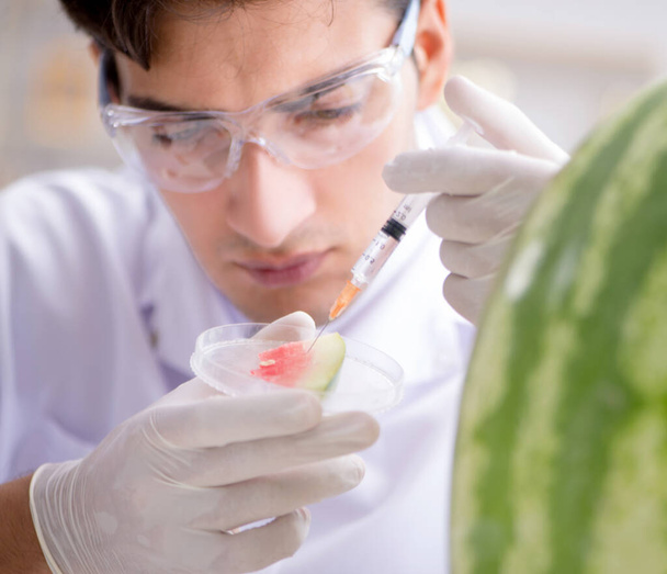 Wissenschaftler testet Wassermelone im Labor - Foto, Bild