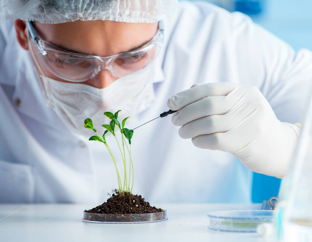 Biotechnologie-Konzept mit Wissenschaftlern im Labor - Foto, Bild
