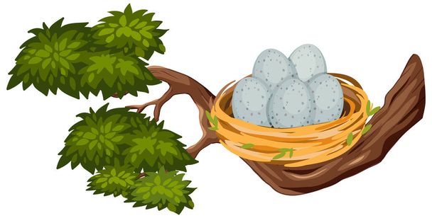 Œufs dans le nid d'oiseaux sur l'illustration de branche d'arbre - Vecteur, image