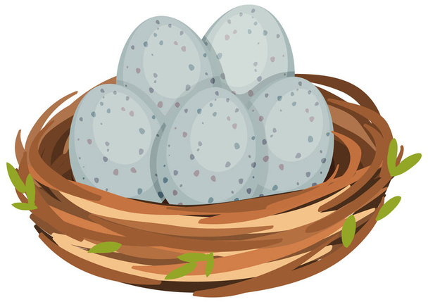 Eier im Vogelnest isoliert Abbildung - Vektor, Bild