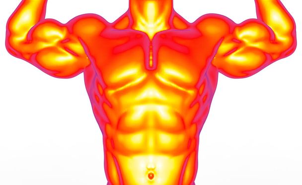 Rendering 3D. Parte superiore anteriore della scansione del corpo muscolare umano tramite misurazione della struttura a raggi di calore con percorso di ritaglio isolato su sfondo bianco. - Foto, immagini
