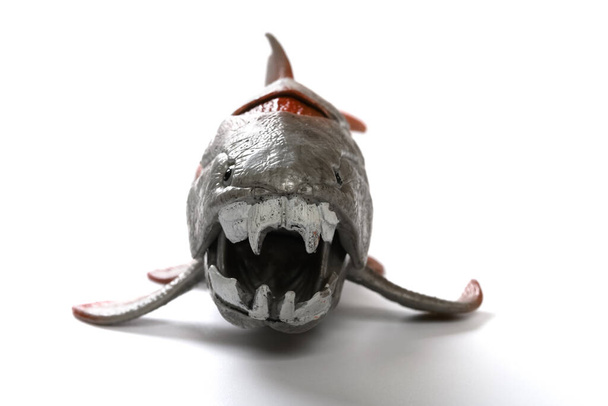 front view of Dunkleosteus terrelli model on white close up on the head - Photo, Image