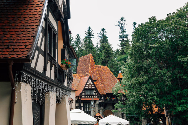 Old houses with green trees near Peles Castle in Sinaia, Romania - Foto, Imagen