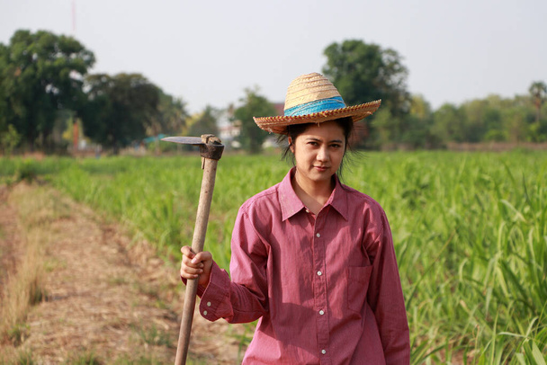Vrouwelijke boer met schoffel in de hand werkend in de suikerrietboerderij en met een strohoed met rood shirt met lange mouwen.  - Foto, afbeelding
