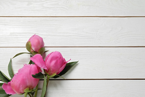 Beautiful pink peonies on white wooden background, flat lay. Space for text - Fotoğraf, Görsel