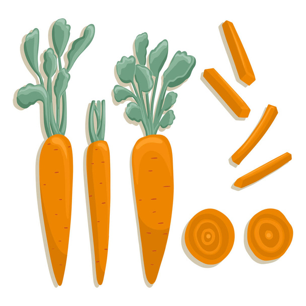 Vector carrot collection in cartoon style. Bright carrot vegetables isolated on white background. Healthy organic carrots with leaves and carrot slices for autumn farm market design. - Vector, Image