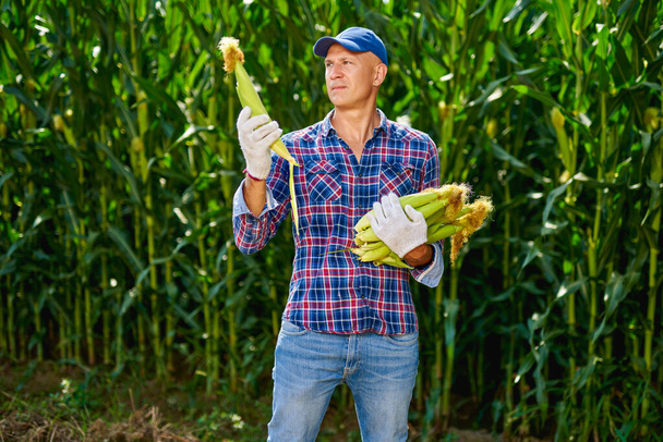 Man farmer with a crop of maize - Foto, Bild