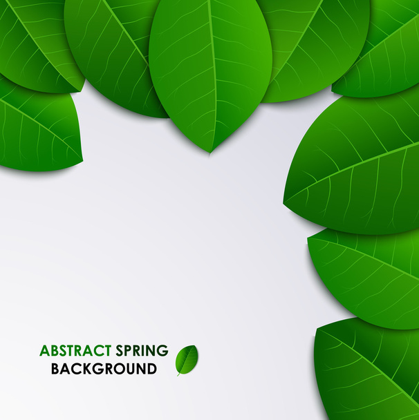 Astratto primavera sfondo fresco con foglie verdi
 - Vettoriali, immagini
