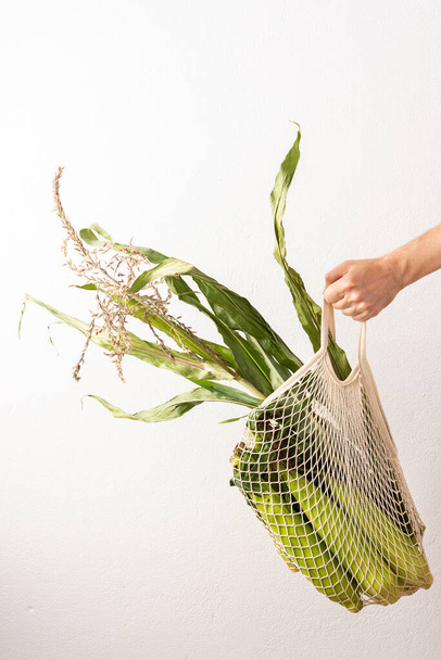 Αγρότης κρατά κούνιες καλαμποκιού με πράσινα φύλλα - Φωτογραφία, εικόνα
