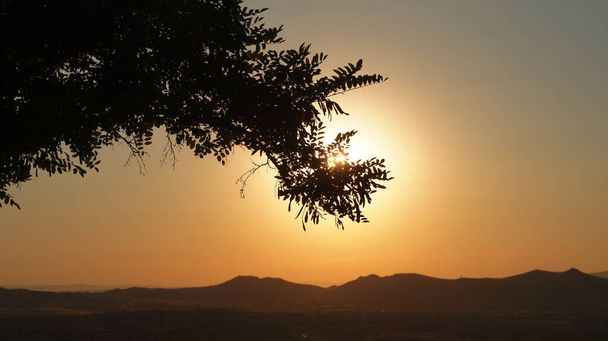 Golden hour in Anatolia in Turkey with the slhouette of a deciduous tree in front of the low sun . - 写真・画像