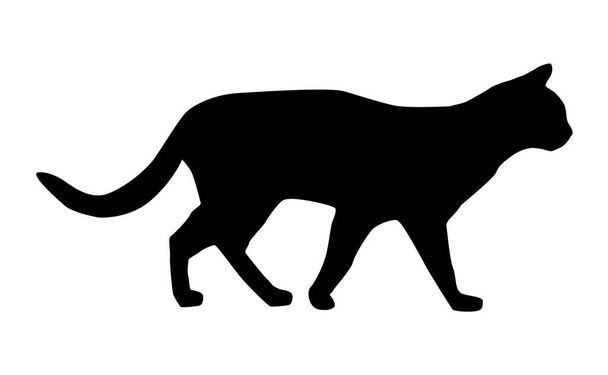A silhouette of a cat on white background - Photo, image