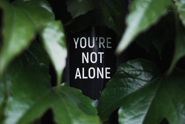 A closeup shot of a "you're not alone" text on a post surrounded by leaves - 写真・画像