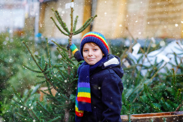 Adorable niño sonriente sosteniendo el árbol de Navidad en el mercado. Feliz niño sano en ropa de moda de invierno elegir y comprar gran árbol de Navidad en la tienda al aire libre. Familia, tradición, celebración. - Foto, Imagen