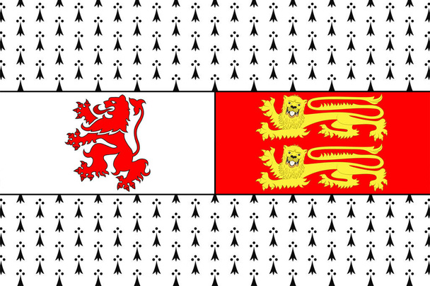 Флаг графства Карлоу - графство, расположенное в юго-восточном регионе Ирландии, в провинции Лейнстер. Векторная иллюстрация - Вектор,изображение