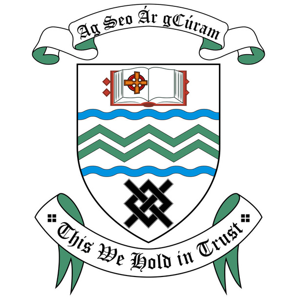 Wappen von South Dublin ist eine Grafschaft in Irland, innerhalb der Provinz Leinster und der Region Dublin. Vektorillustration - Vektor, Bild