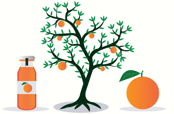 Orangenbaum mit Früchten Vektor isoliert auf weißem Hintergrund Saftflasche  - Vektor, Bild