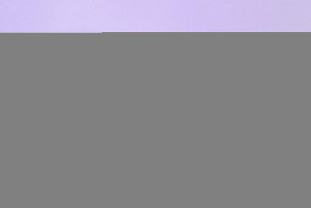 Pivoine blanche sur fond violet. Fond d'écran fleur. - Photo, image