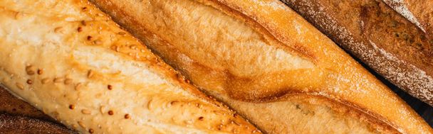 close up view of fresh baked baguette loaves, panoramic shot - Foto, afbeelding
