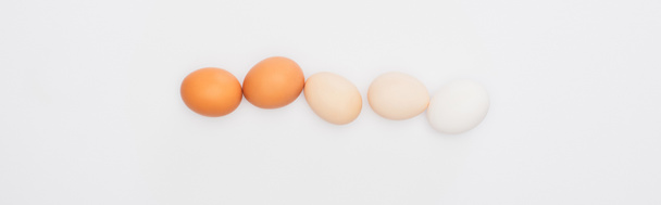 vista superior de ovos de galinha frescos isolados em branco, tiro panorâmico - Foto, Imagem