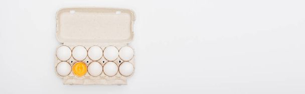 白くてパノラマ的なショットに隔離された段ボール箱の中の新鮮な鶏の卵と黄身のトップビュー - 写真・画像