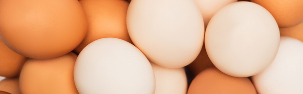 vista superior de coloridos huevos de pollo frescos, plano panorámico - Foto, imagen