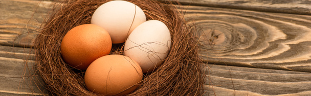 ovos de galinha frescos no ninho na superfície de madeira, tiro panorâmico - Foto, Imagem