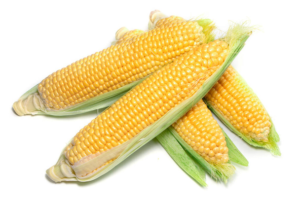Świeże uszy kukurydzy z liśćmi odizolowanymi na białym tle. - Zdjęcie, obraz