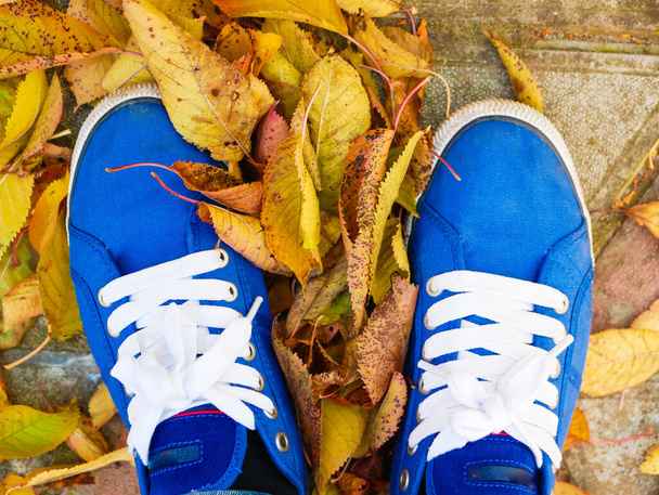 желтая листва на фоне синих кроссовок. Высокое качество фото - Фото, изображение