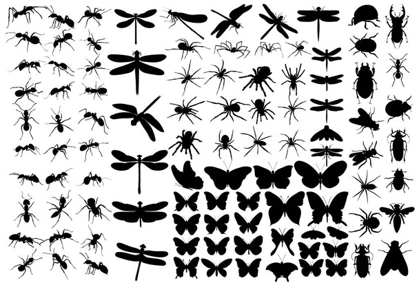 conjunto de siluetas de mariposas escarabajos hormigas sobre un fondo blanco - Vector, imagen