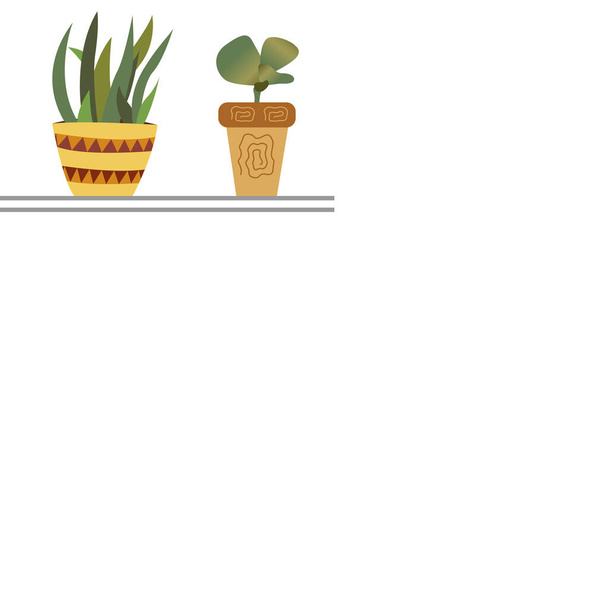 Planta de hogar en maceta en un espacio de estantería para texto - Vector, Imagen