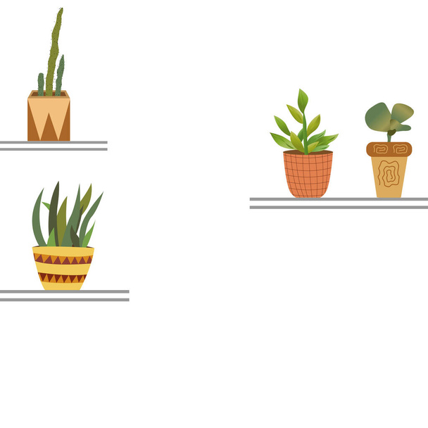 Domácí rostliny v hrncích na policích prostor pro text - Vektor, obrázek